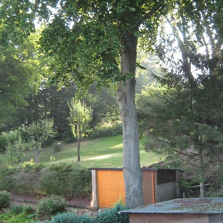 Ferienwohnung Sauerland Panorama 코르바흐 외부 사진